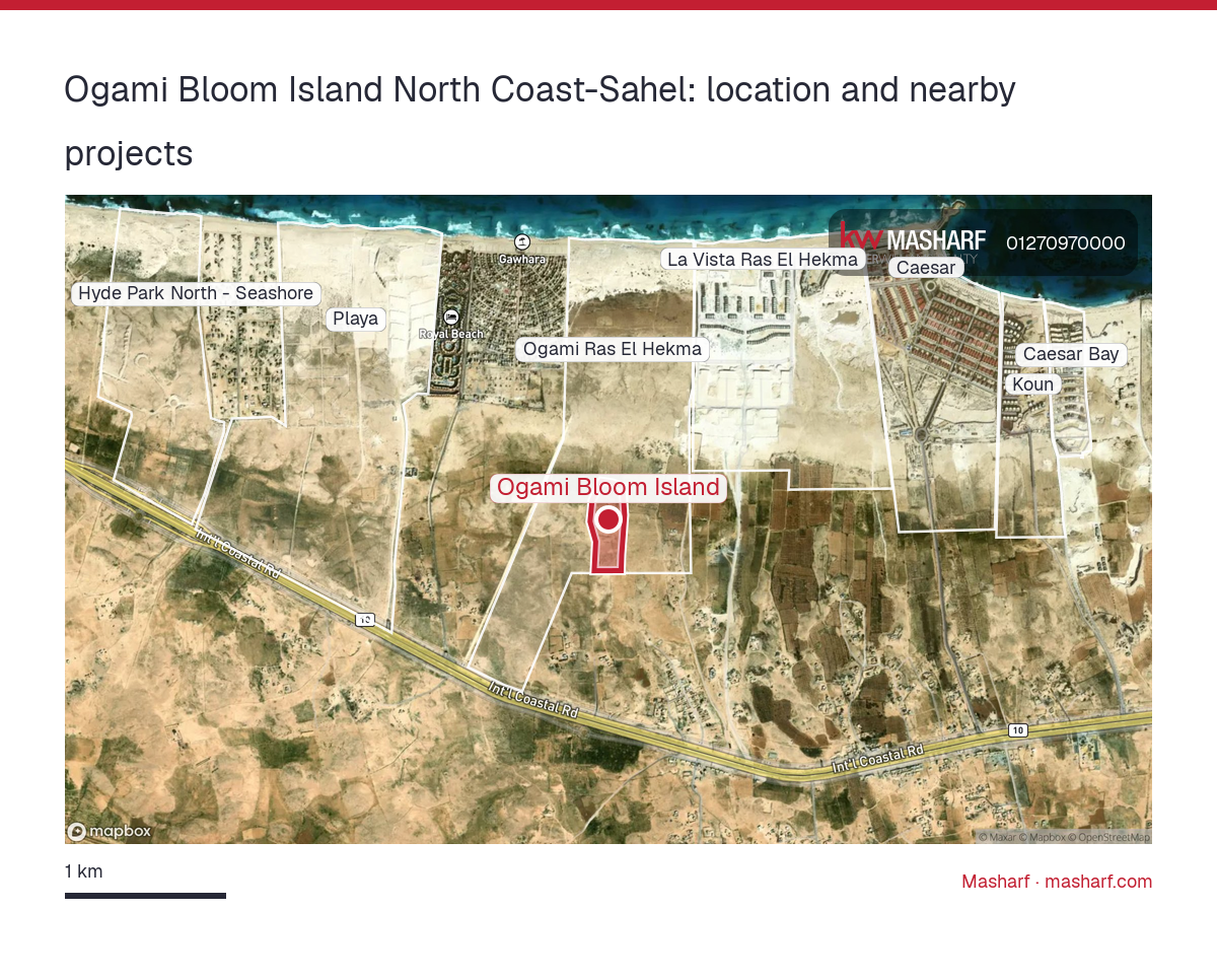 Where is Ogami Bloom Island located?