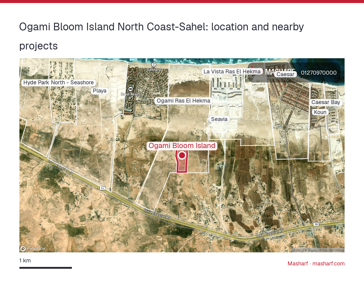 Where is Ogami Bloom Island located?