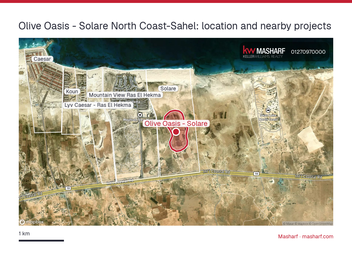 Where is Olive Oasis - Solare located?