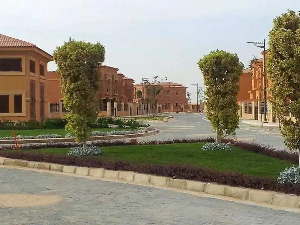 رويال ميدوز 2