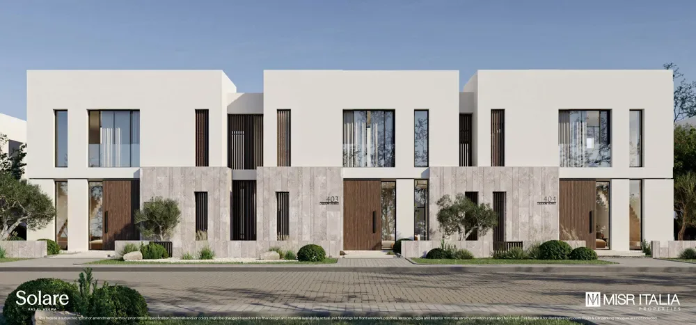 Olive Oasis - Solare 2