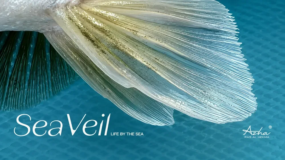Sea Veil 2