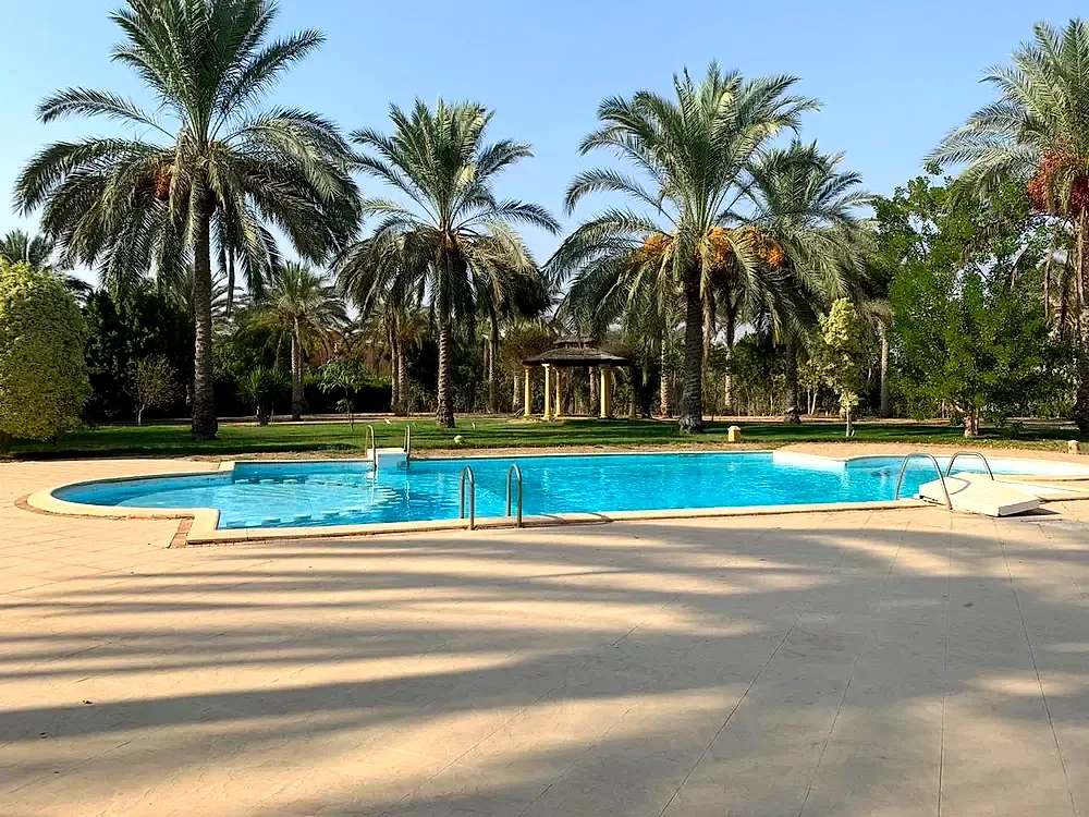 فيردي 2