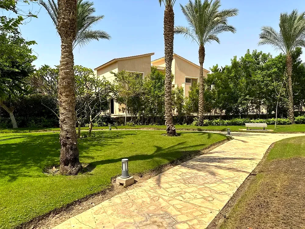 سوان ليك قطاميه