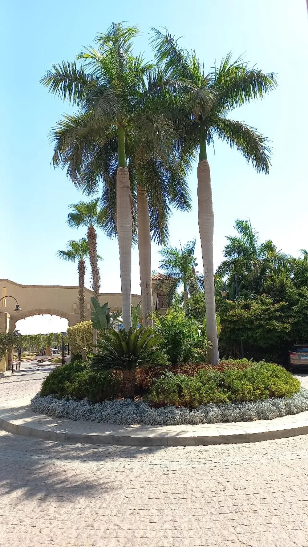 Dara Gardens 2