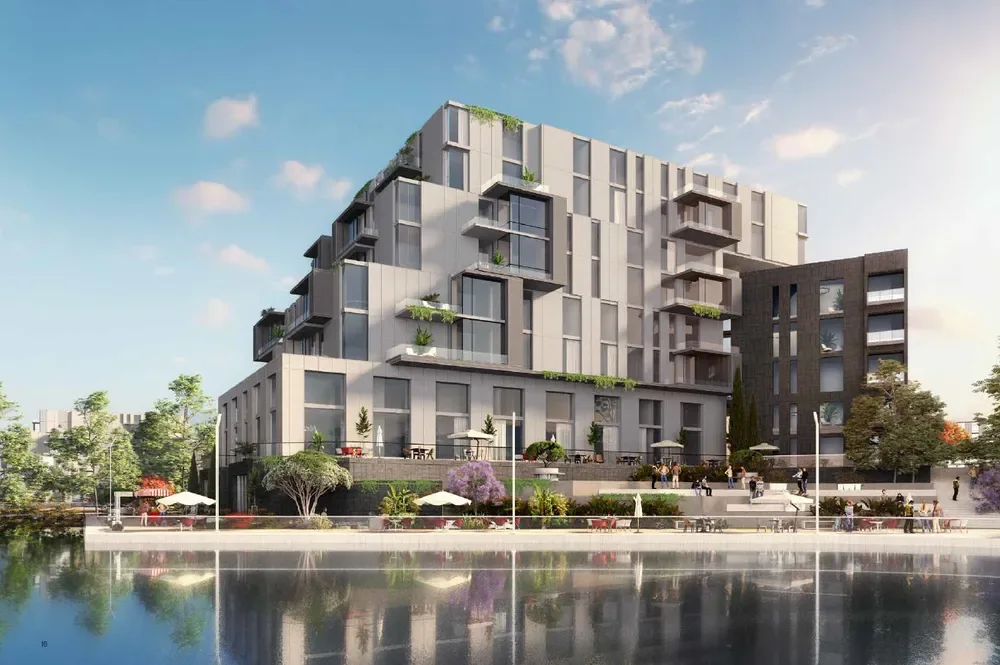 205 Arkan Palm