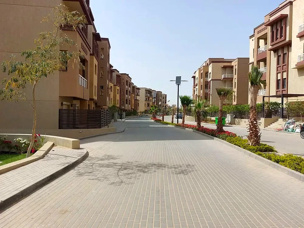 جرين 5 3