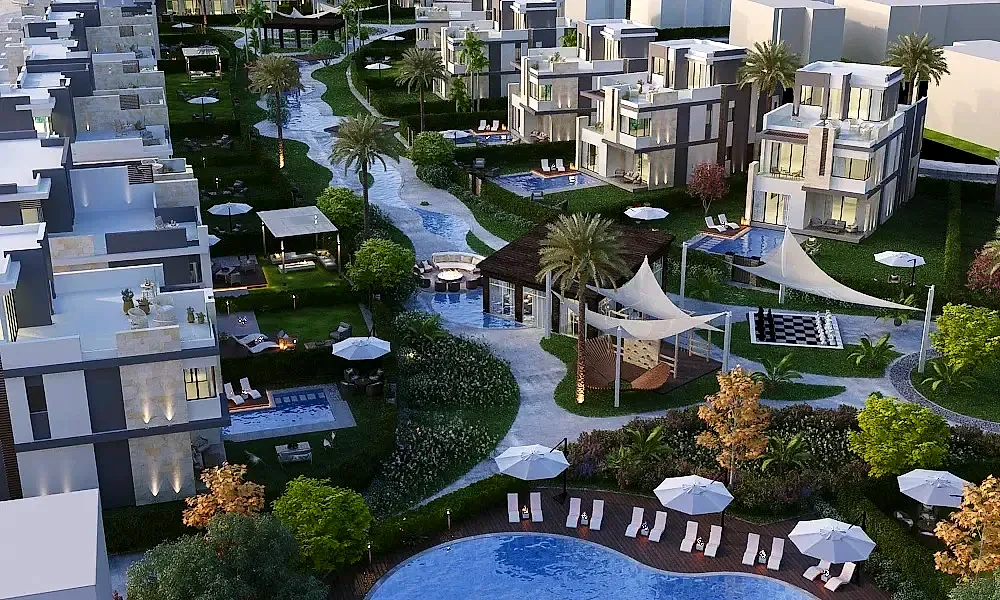 تاوني 2