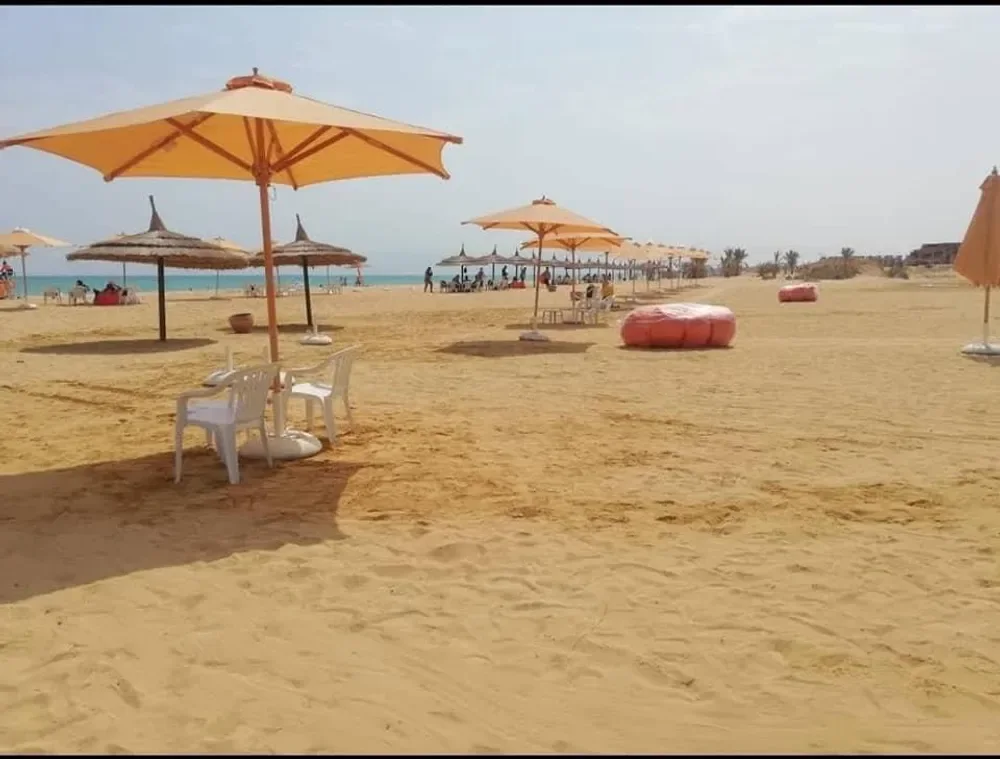 كايب باي بلومار لا سيرينا 2