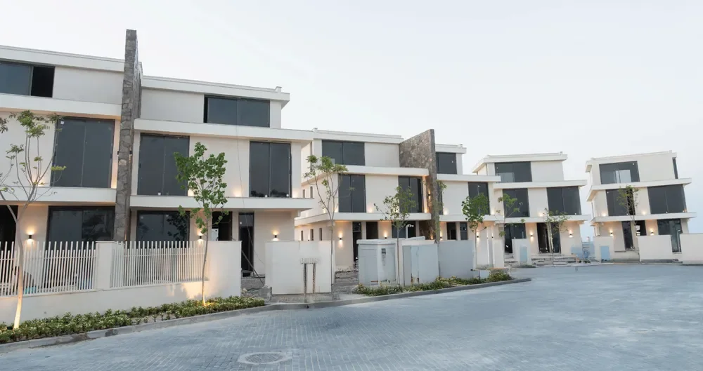 دايز 3