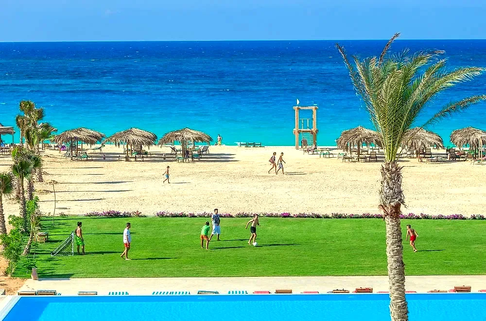 سيزر باي 3