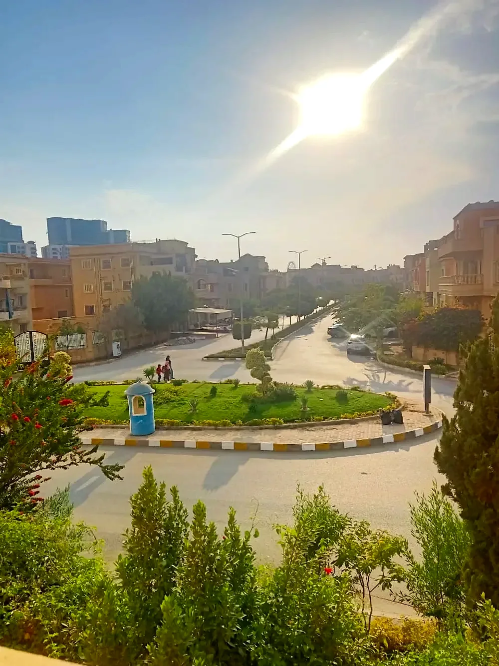 الياسمين الشيخ زايد