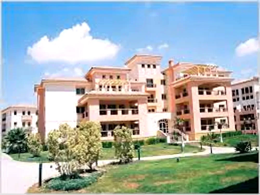 دريم لاند